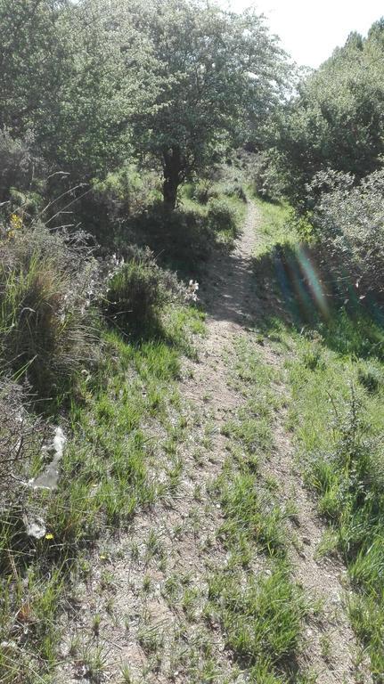 La Muralla Retortillo de Soria Εξωτερικό φωτογραφία